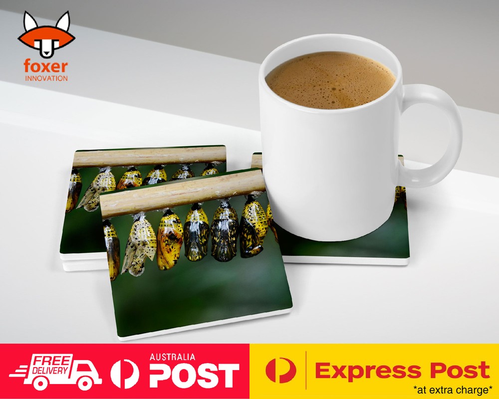 COASTER COFFEE DRINKING MAT|BEAUTIFUL BUTTERFLY CACOON