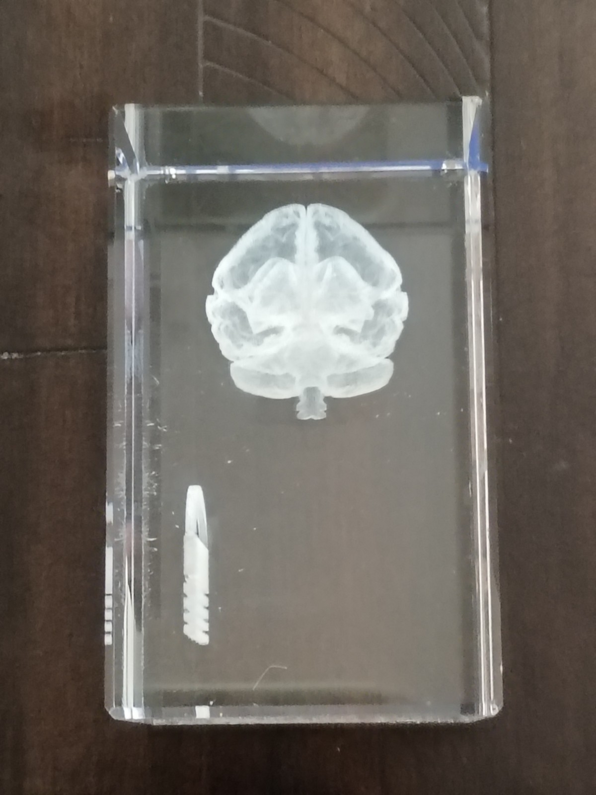 Adderall XR Glass Paperweight~Pharmaceutical Doctor Promo--RARE