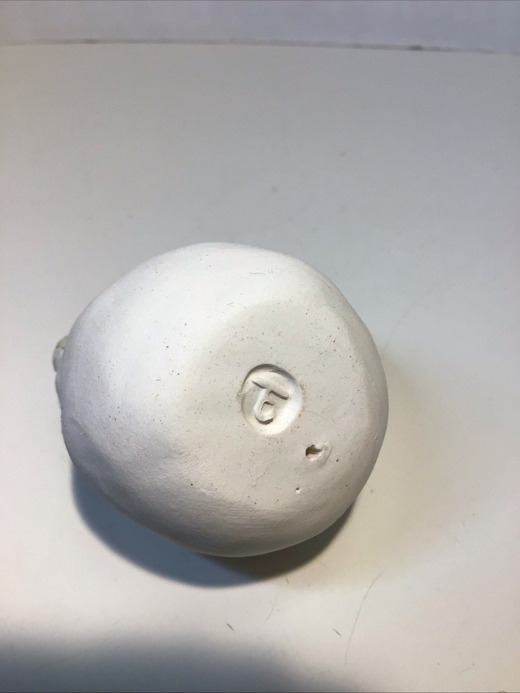 Peeper Clay Turtle Hatching Figurine