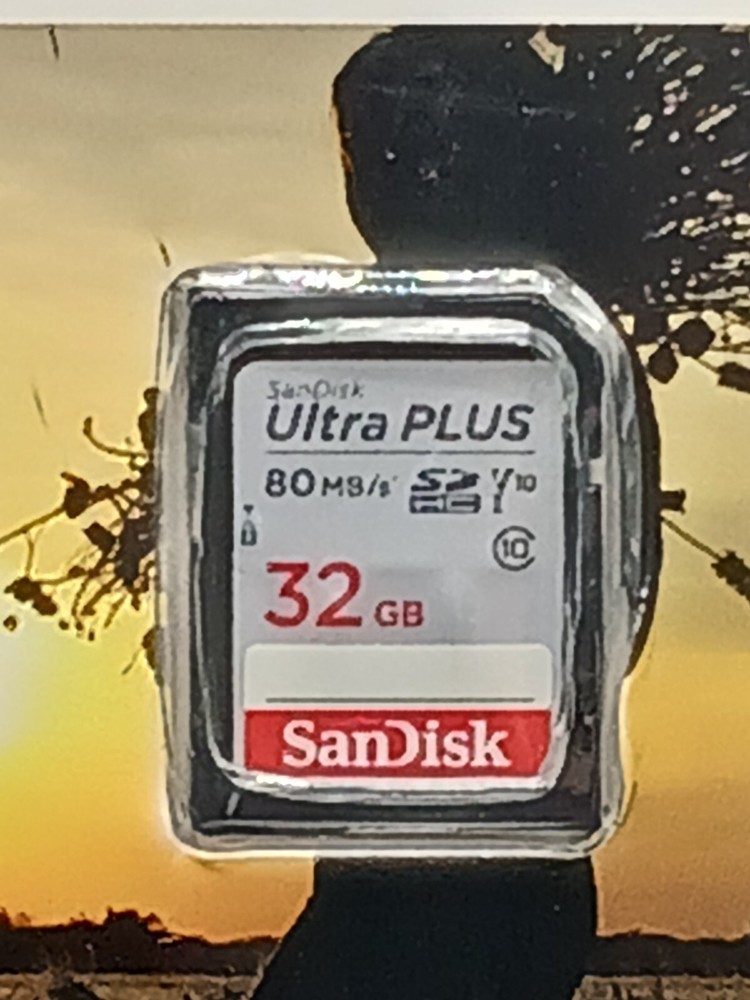 SANDISK ELEVATE 32GB ULTRA PERFORMANCE SDHC USH-I CARD