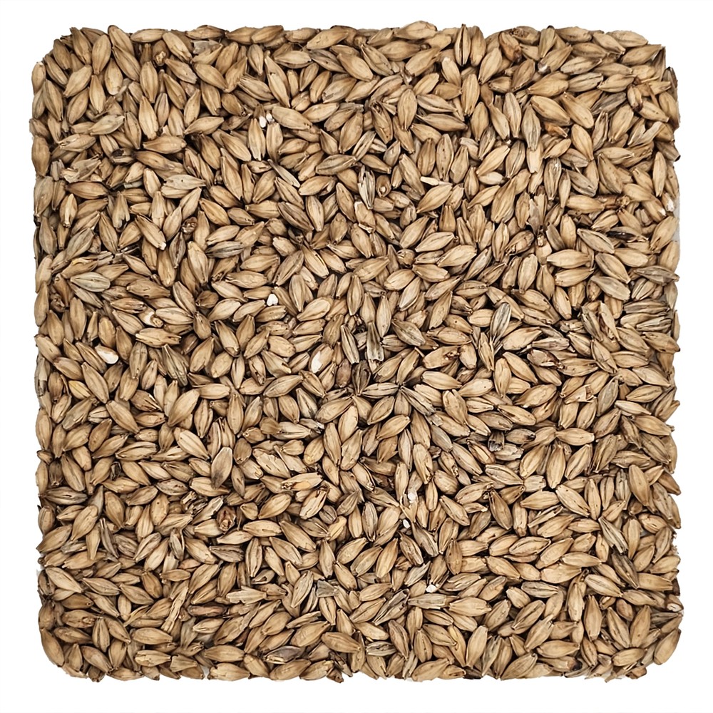 Home Brew Ohio Ale Grain 1lb