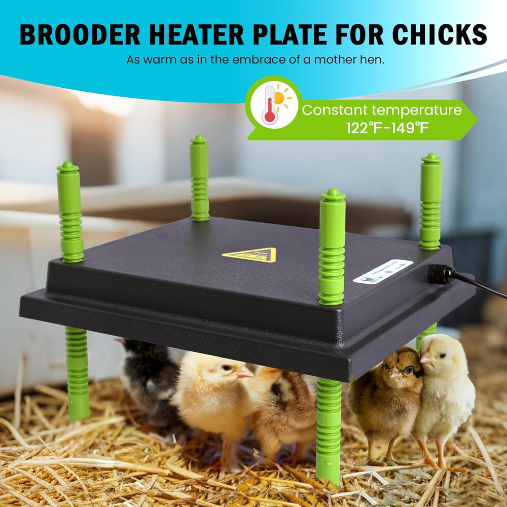 Chicken Brooder Box Starter Kit with Heating Plate, Feeder, and Waterer