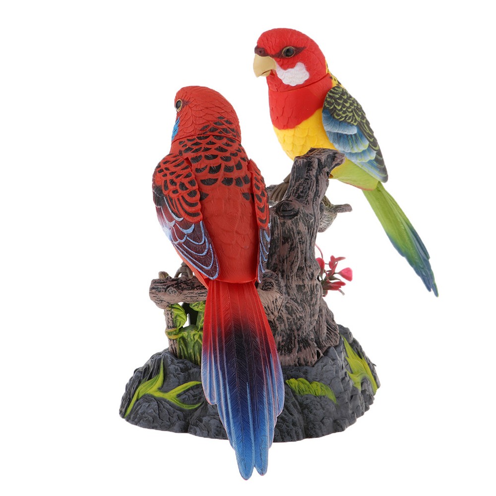 Recording Session Learning Parrot Voice Controlled Children's Induction Toy