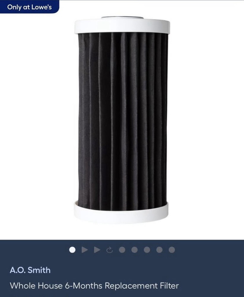 A.O. Smith 6month Whole House Replacement Filter