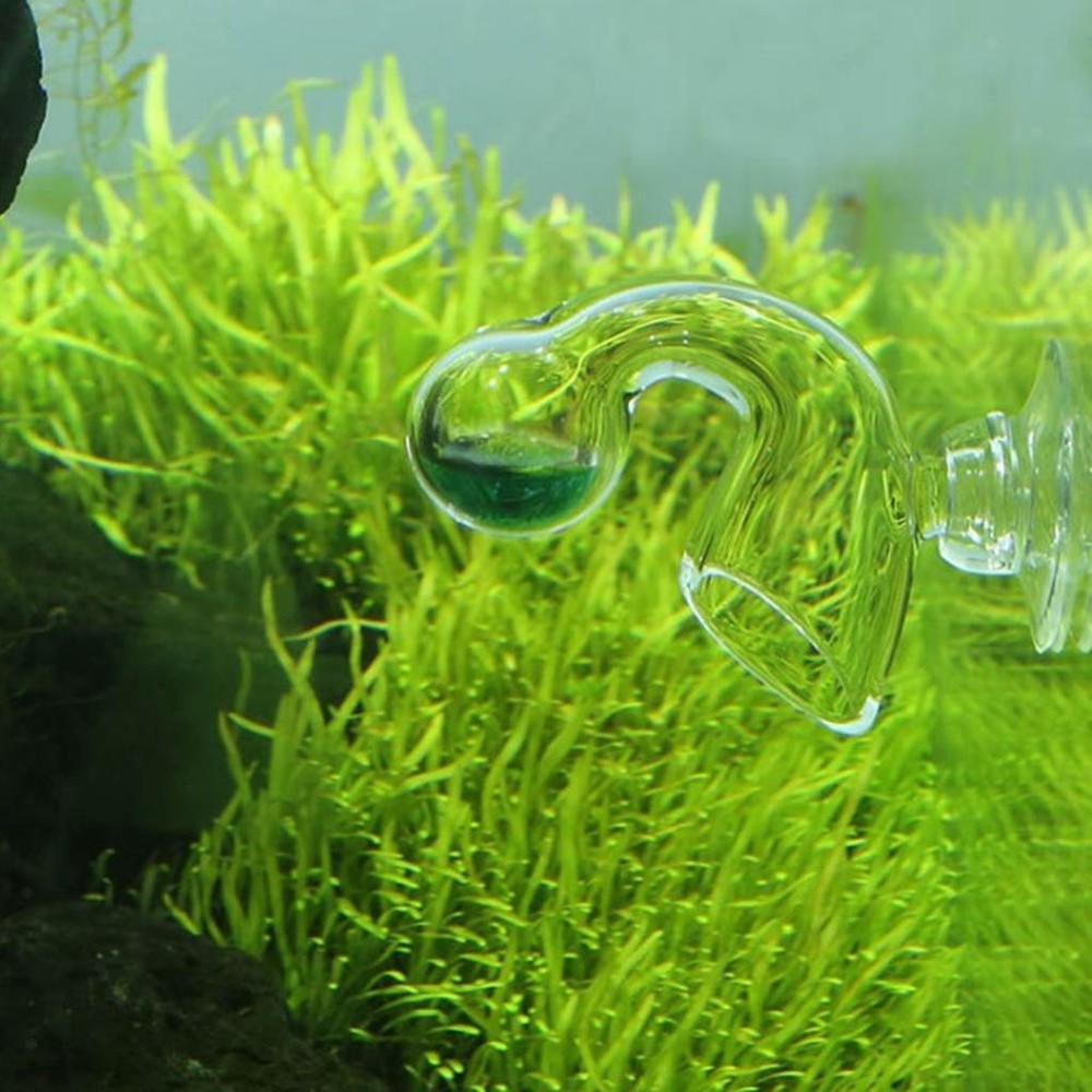 Durable Glass Drop Checker For Planted