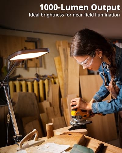 Streaming Light, 8" Ring Light for Desk with Clamp and Adjustable Arm, Zoom