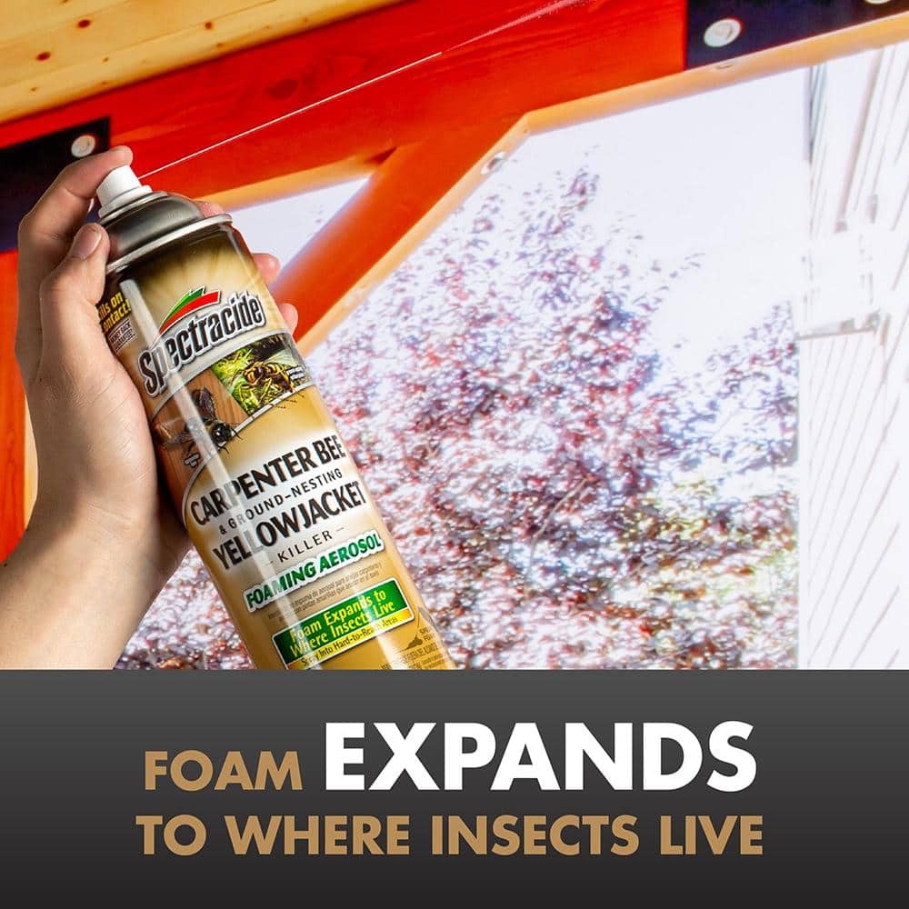 16 oz Aerosol Carpenter Bee & Ground-Nesting Yellow Jacket Killer Foam