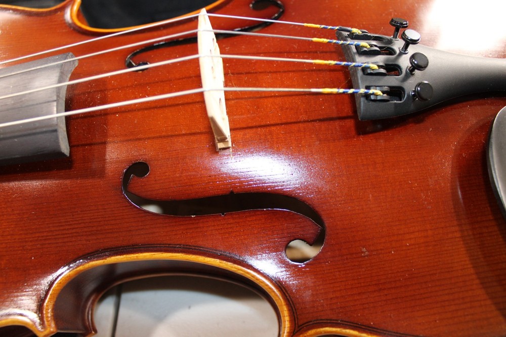 Franz Hoffman Etude Beginner Viola with Bow Case and Rosin
