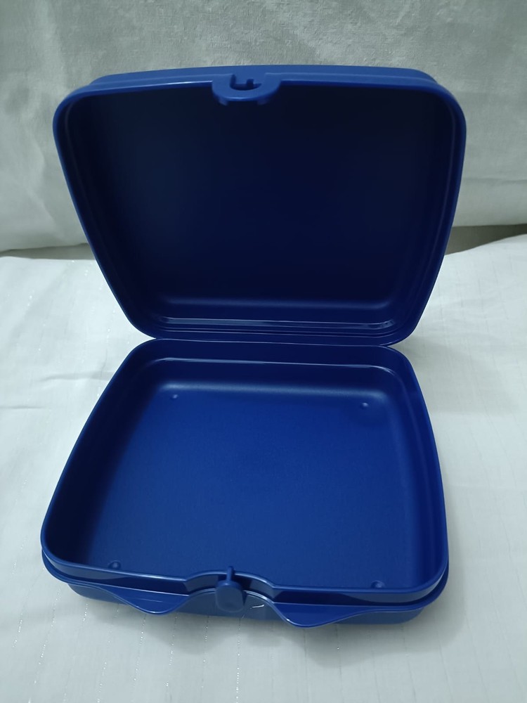 Tupperware Sandwich keeper Desert Print Square Shape