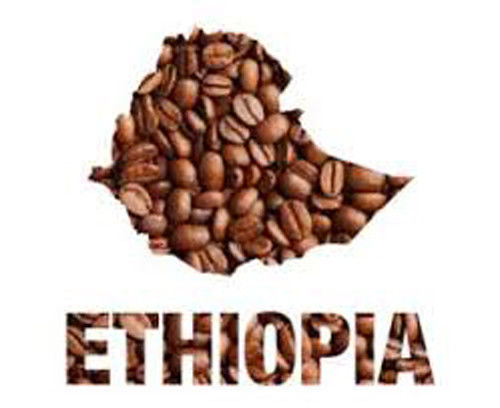 2, 5, 10 LB ETHIOPIA YIRGACHEFFE FRESH ROASTED COFFEE WHOLE BEAN, GROUND