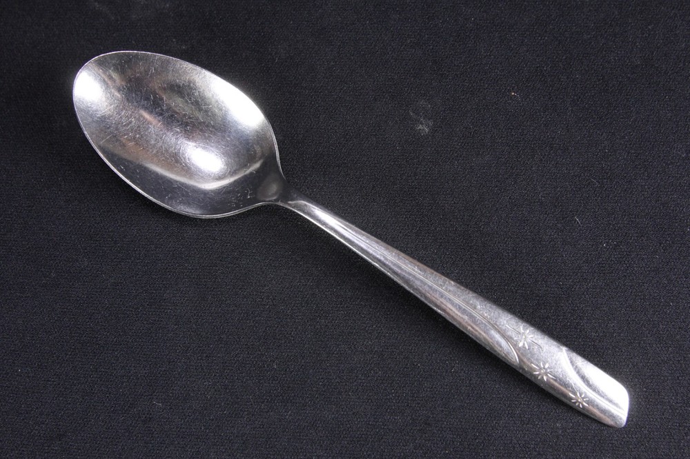 Starlet Pattern Flatware Thor Oneida 2 Serving & 7 Place Spoons Stainless