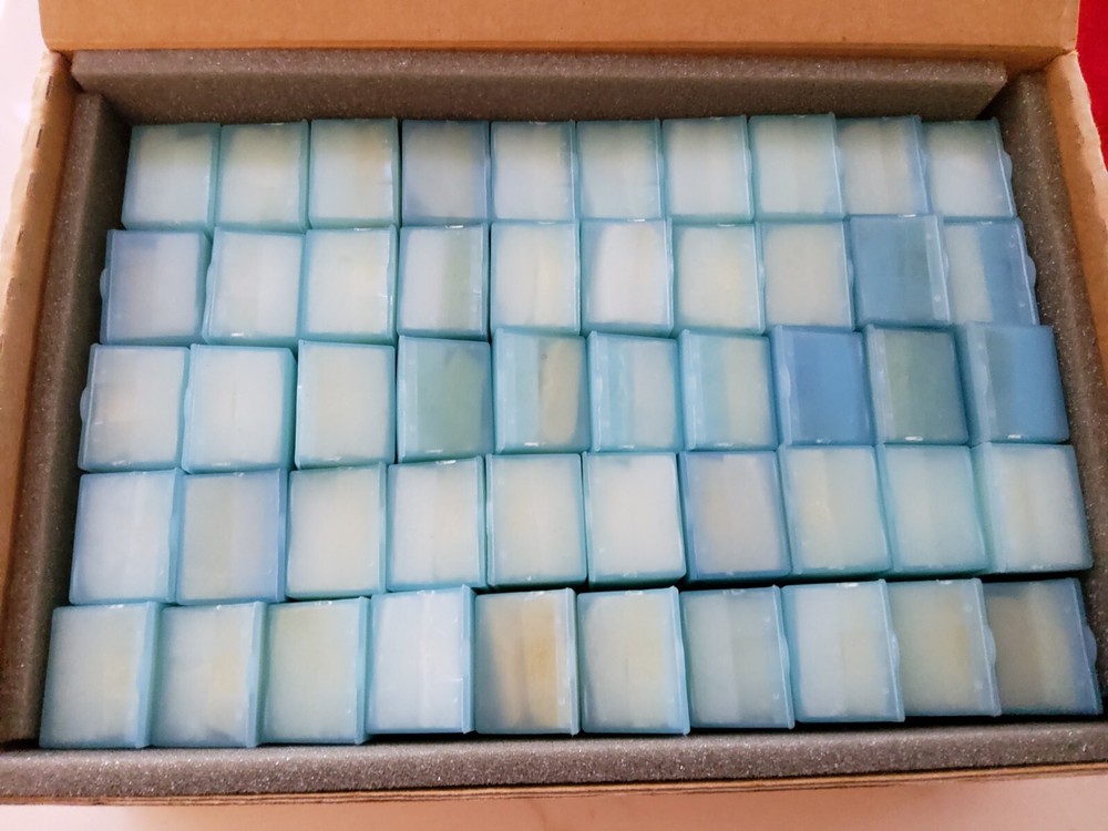 Dental Lab Packaging Plastic Box with Foam 100pc (Translucent)