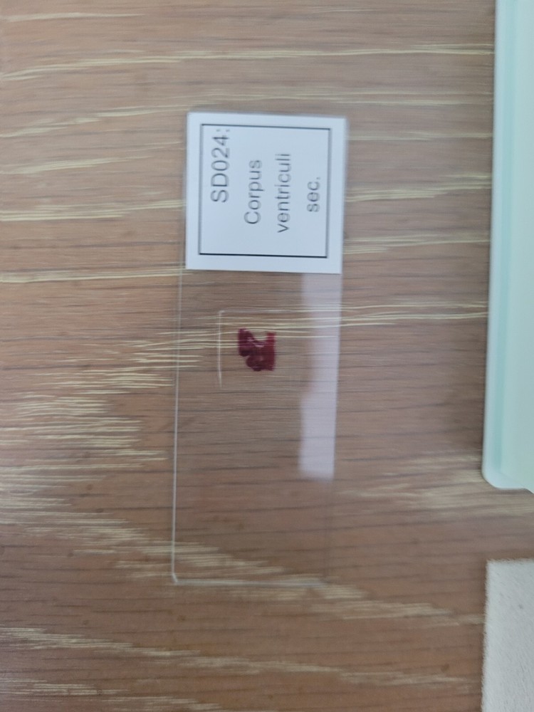 Meade Instruments #904 Microscope Slide Set Of 25