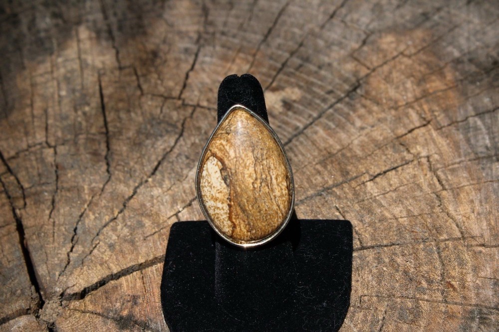 Petrified Wood Ring