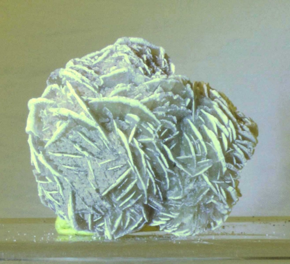 #3036 Selenite Rose - Mexico - Double Rose