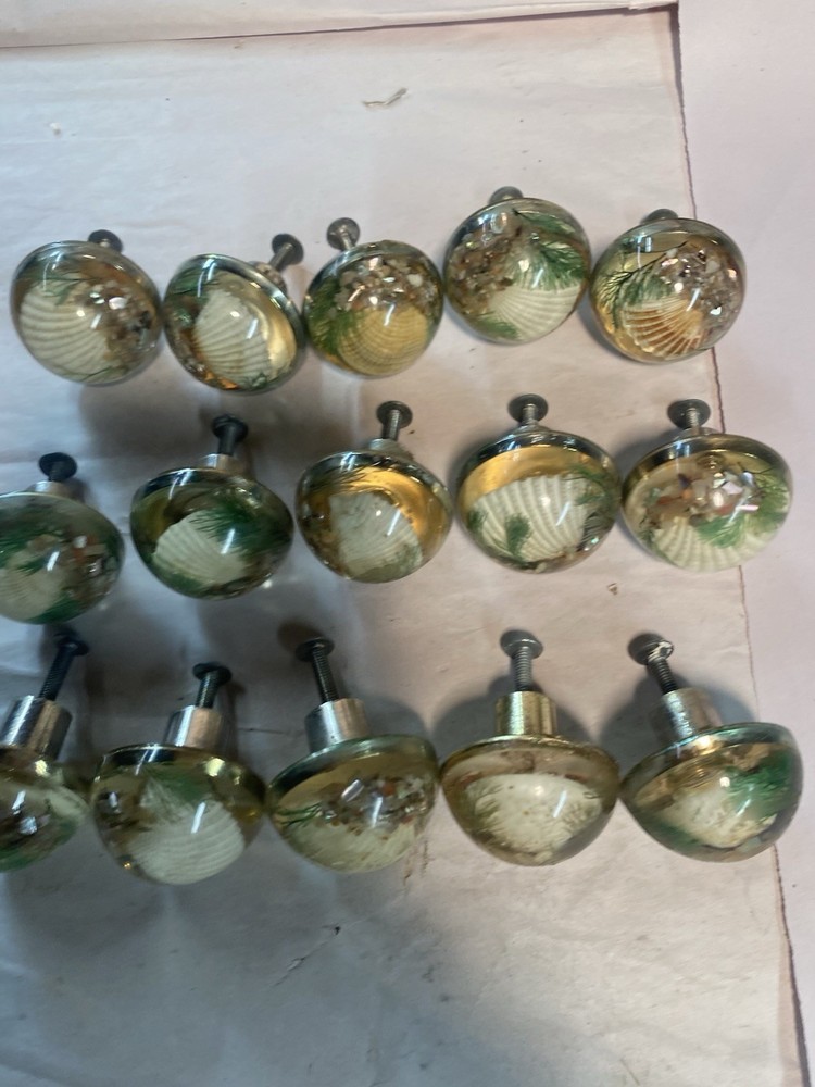 15 Vintage Fancy Round Seashell Drawer Pulls w/ Screws
