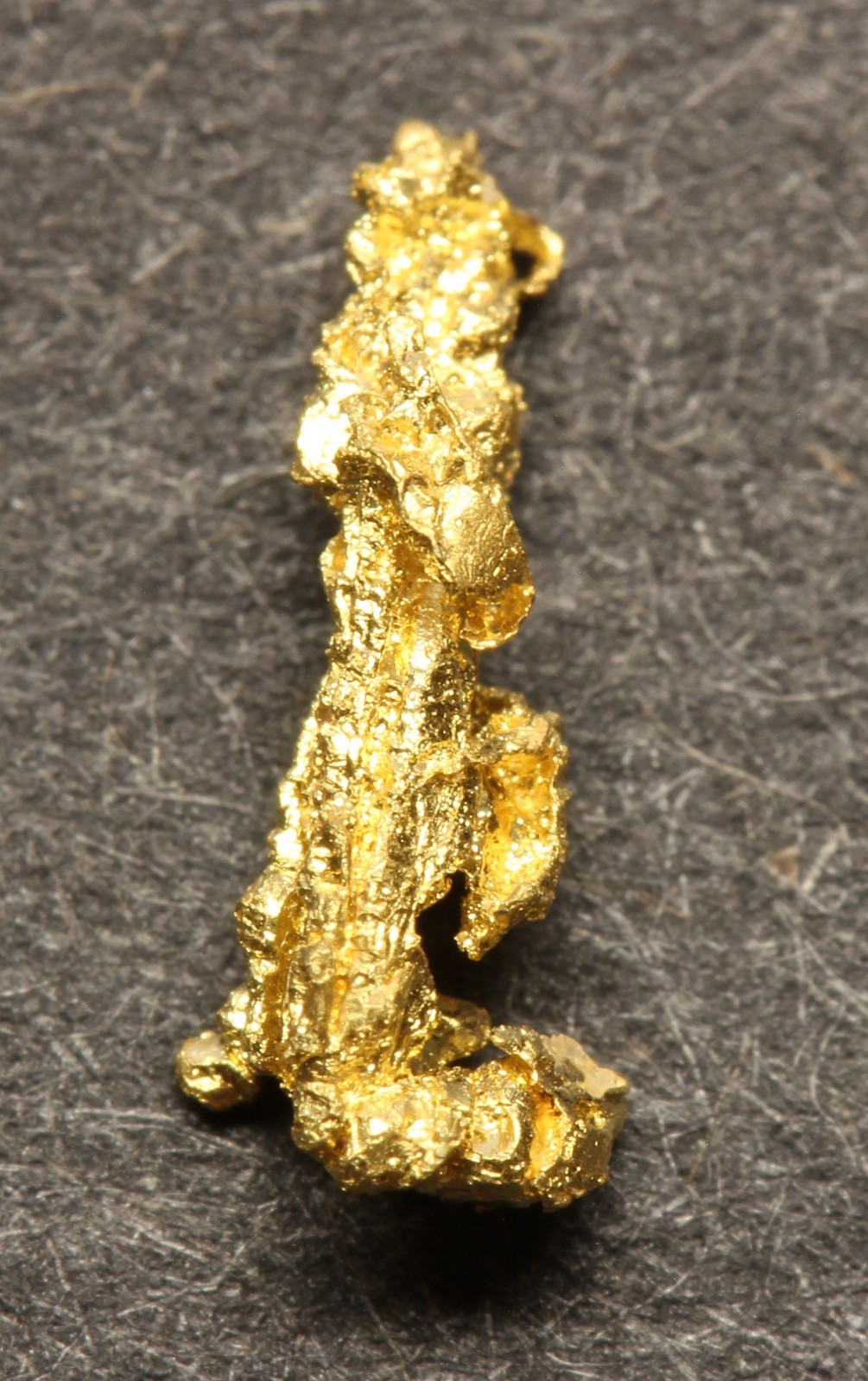 Gold nugget Small nugget in box  0.19 Gram Rose Creek Placer  Pershing Co. NV