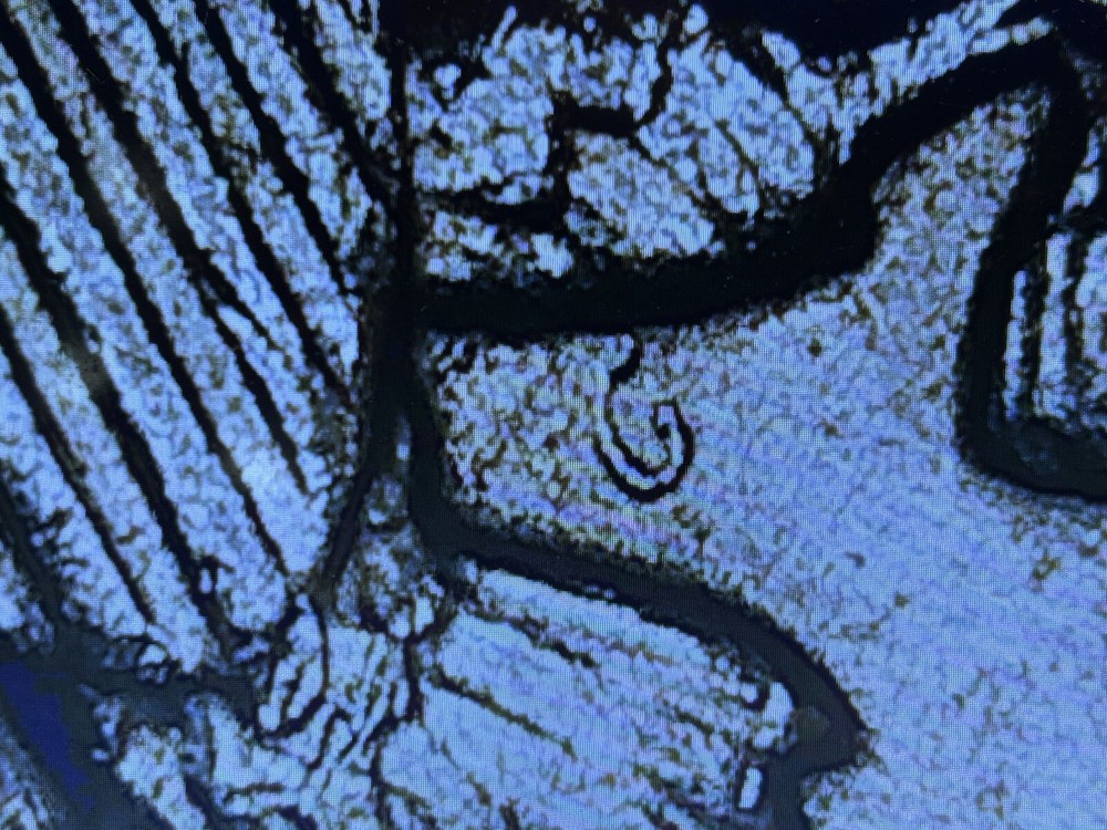 1972-D 50C Kennedy Half Dollar Multiple Errors View