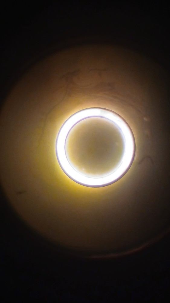 ZEISS MICROSCOPE. Carl Zeiss Neofluar 40x Ph2 Lens