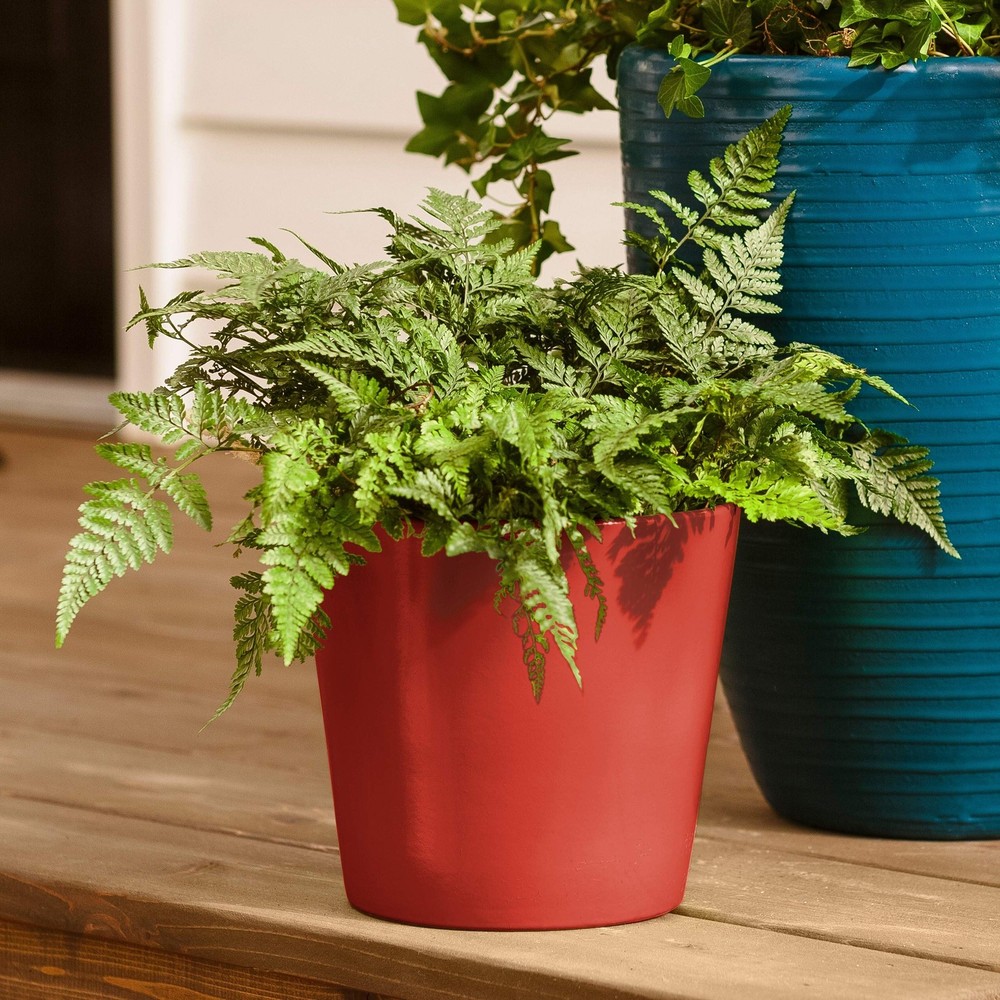 Gloss Red Coating Spray Brake Caliper Engine Custom Ceramic Paint High Temp 12Oz