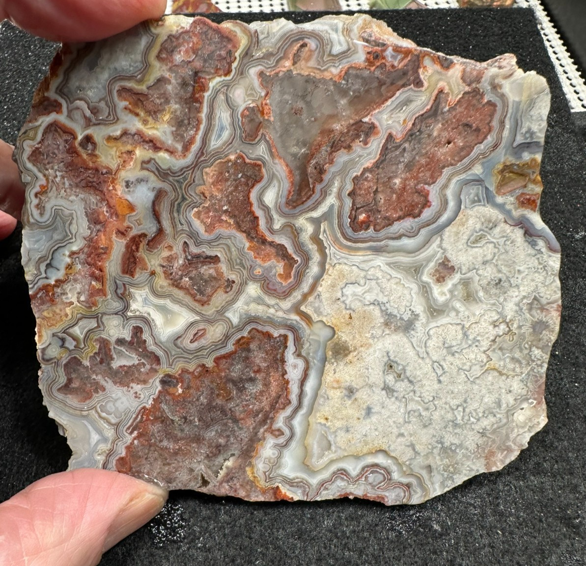 Crazy lace Agate unfinished slab, great for cabbing (weight 4.98oz)