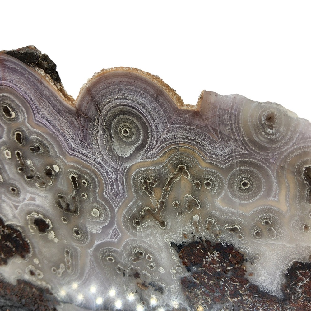 Laguna Agate, large slab, cabbing rough, #R-6957