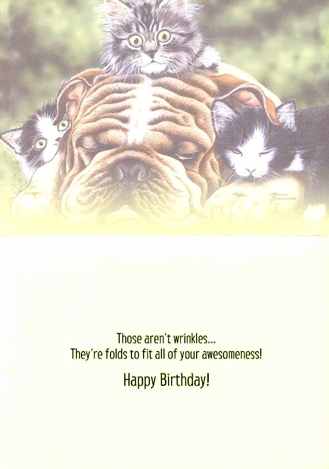 Wrinkles - 14179