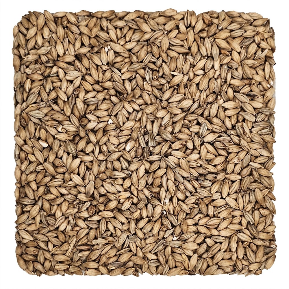 Home Brew Ohio Ale Grain 1lb