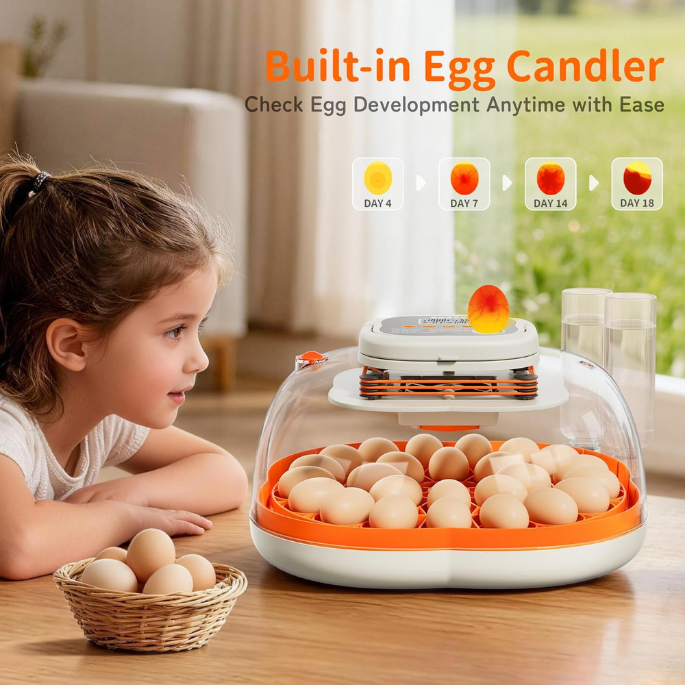 APDOE Egg Incubators for Hatching Eggs, Temperature and Humidity Control, Automa