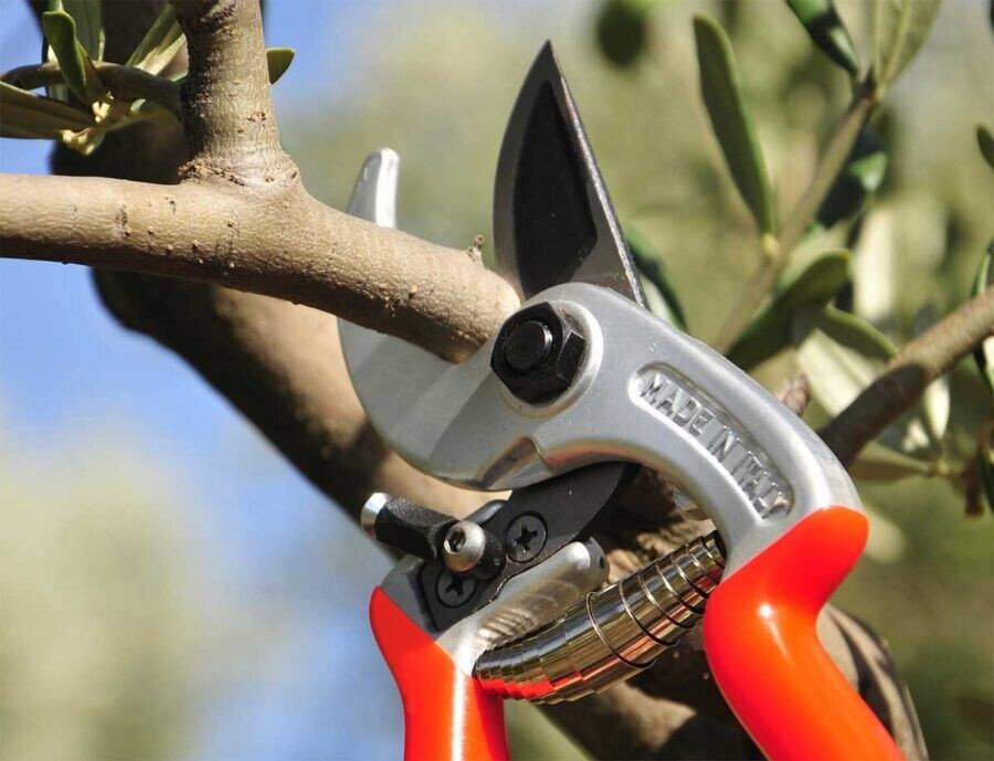 Castellari ERGONOMIC Hand Pruner - Anvil Pruner with Ergonomic Handle