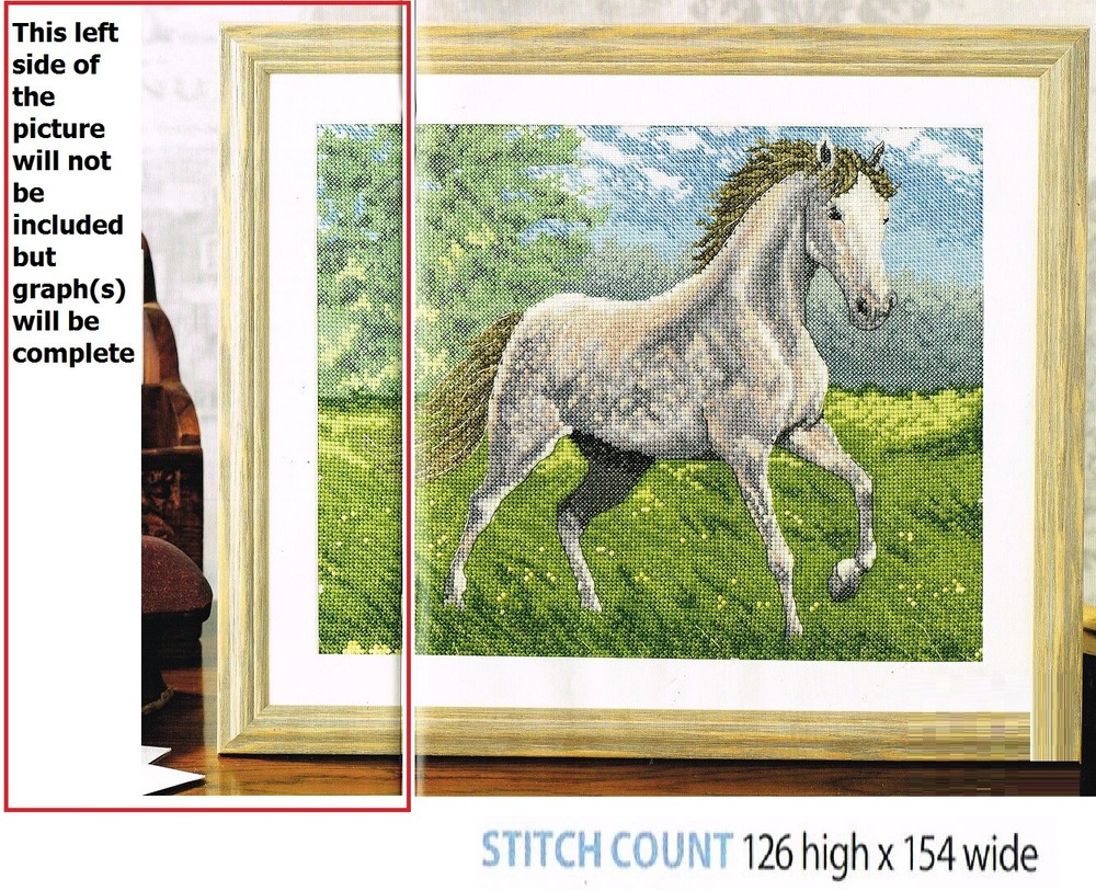 WILD  HORSE   CROSS  STITCH   PATTERN   ONLY    ALS  AY