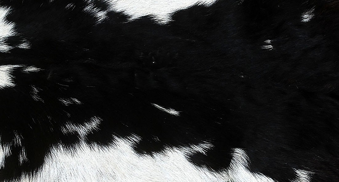 GOAT Western taxidermy Hide Rug Natural Pattern Fur Goat Hide Rode SA-5199