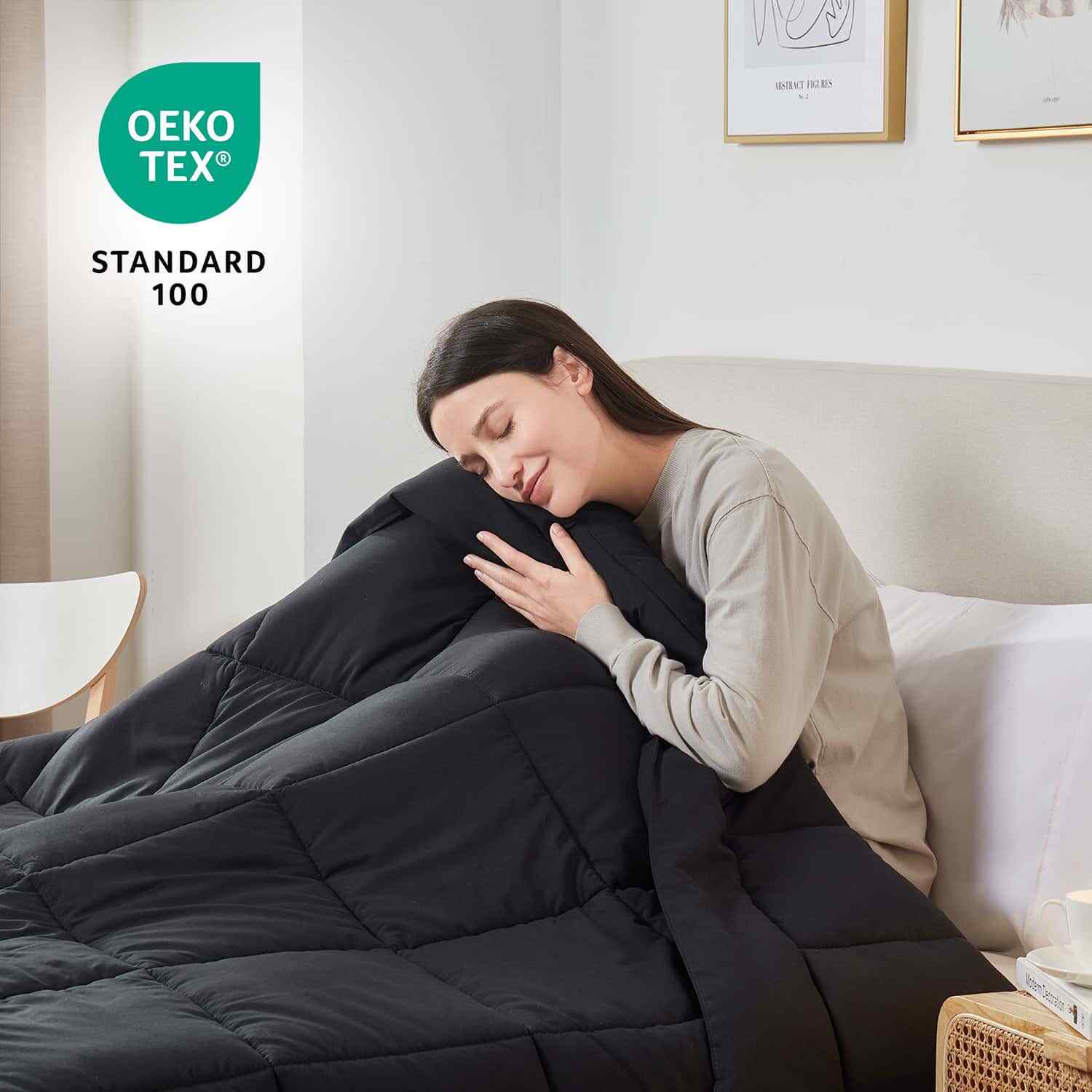 Quilted Down Alternative Comforter, Ultra Soft all season Comforter Duvet Insert