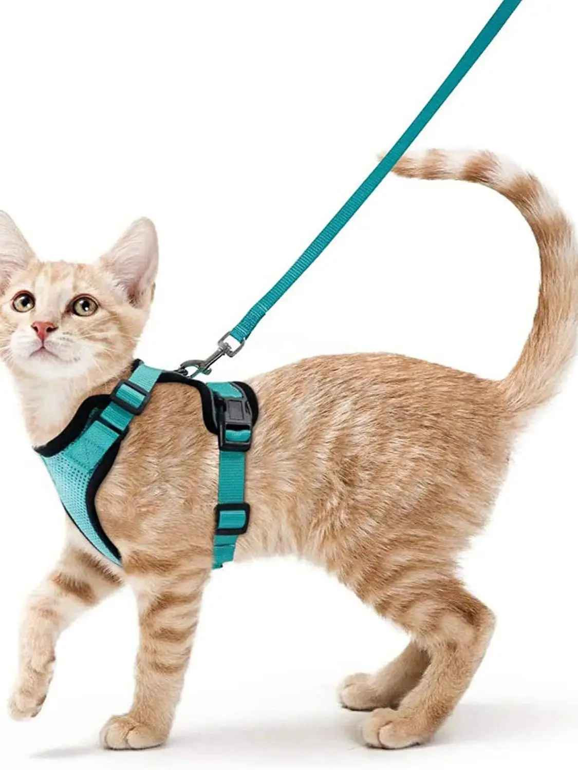 Cat Harness and Leash for Walking, Escape Proof Soft Adjustable Vest Harnesses f