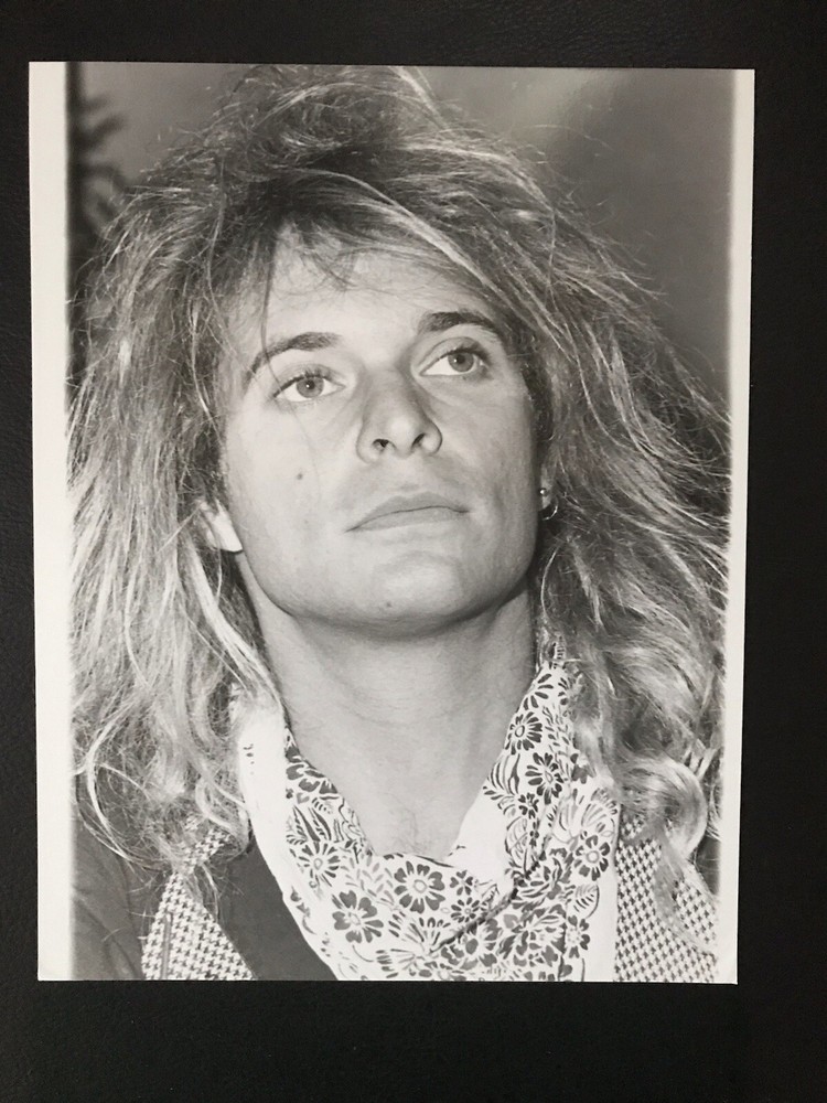 VAN HALEN Rare Original 1985 Press Photo David Lee Roth