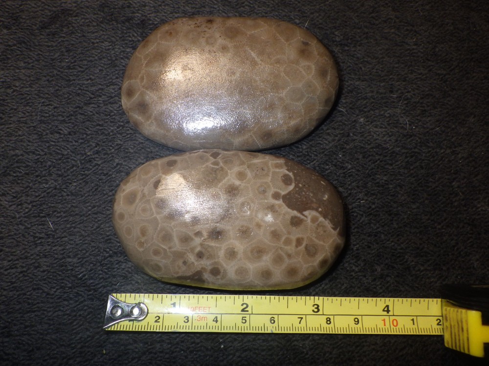 Polished Petoskey Stones 9.5 oz