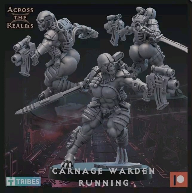 Carnage Warden Assassin  - Running