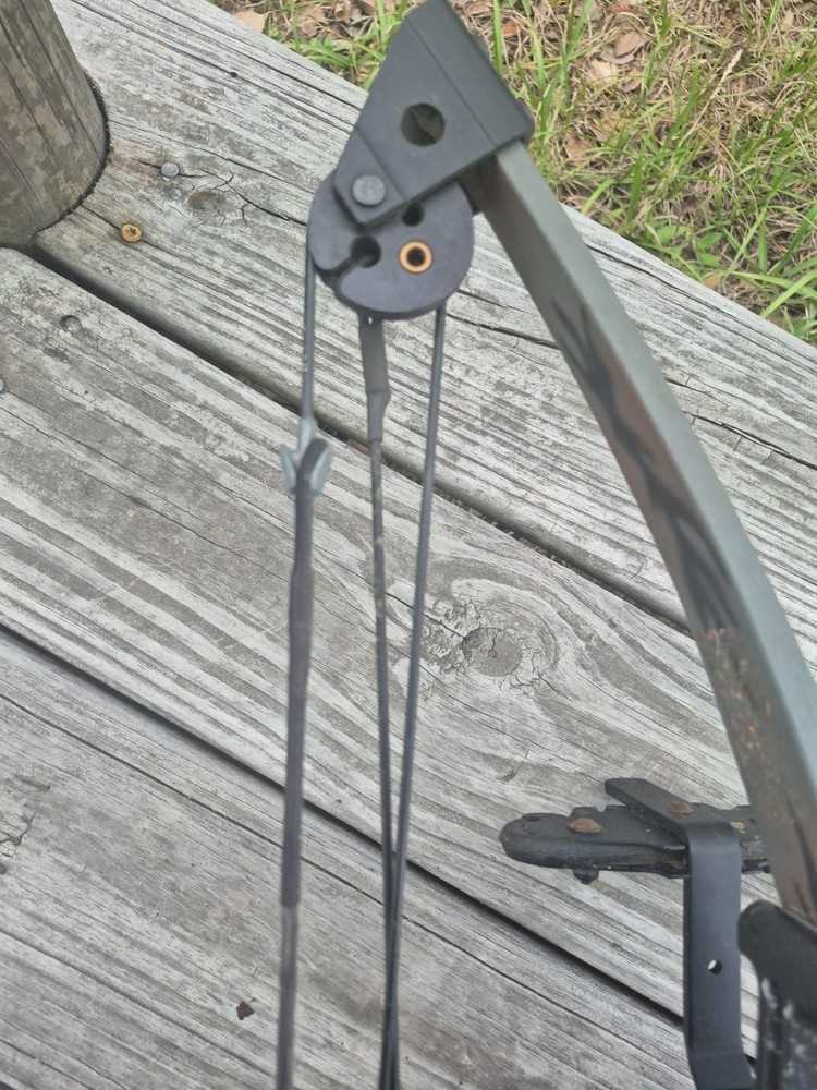 Horton Crossbow, Eagle compound bow, and Bolts