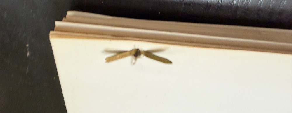 ALEJANDRO GRATTAN SCREENPLAY/SCRIPT MAELSTROM BASED ON "WHERABOUTS UNKNOWN" WWII