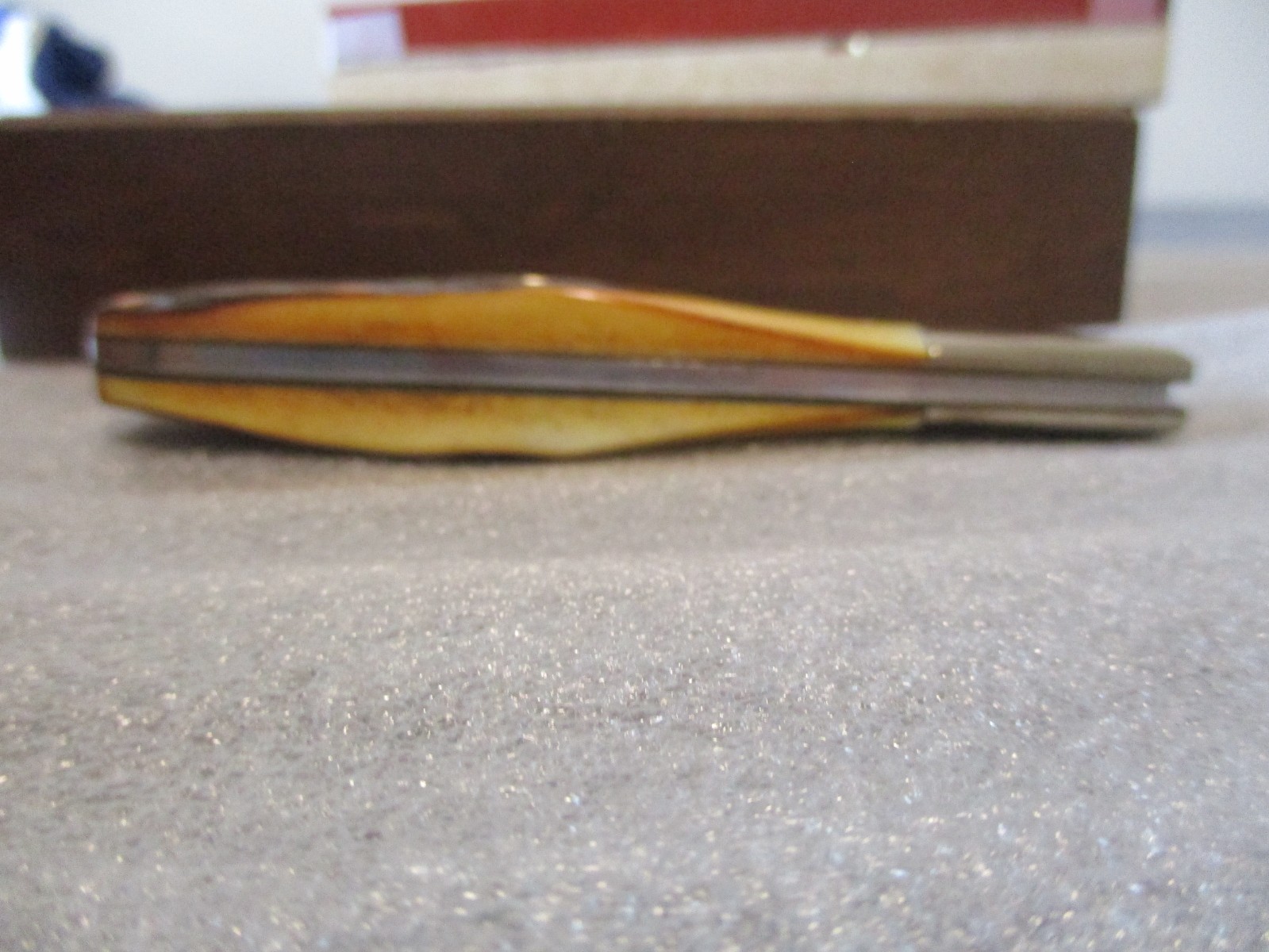 VINTAGE CASE XX 5143 SSP LTD PRODUCTION FOUNDERS STAG KNIFE in DISPLAY CASE