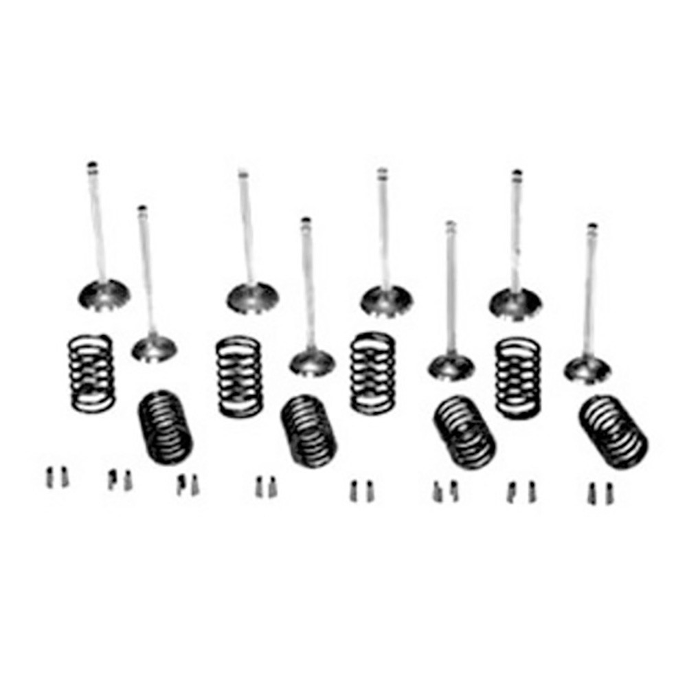 Valve Train Kit Fits 400 450 C281