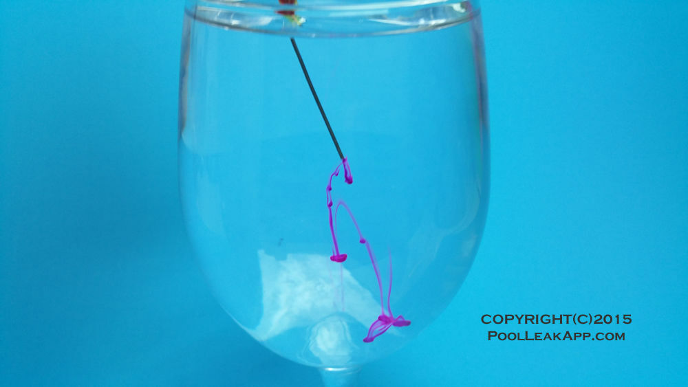 EXPERT POOL LEAK DYE TEST KIT