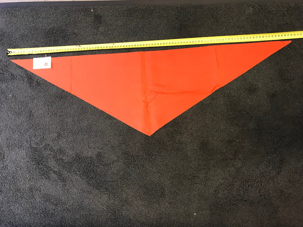 Soviet PIONEER RED TIE