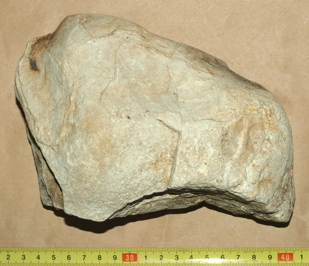 Silurian STROMATOLITE from Estonia