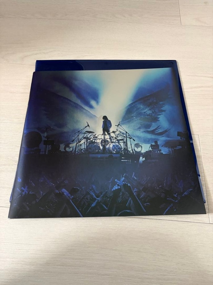WE ARE X X JAPAN