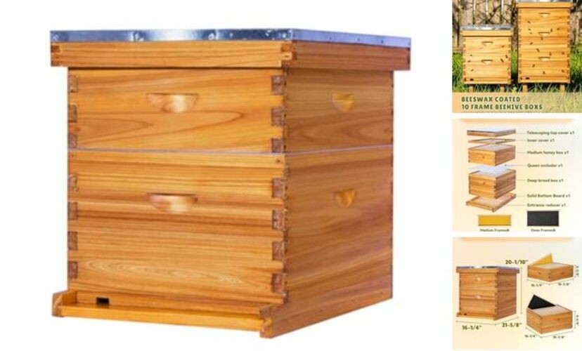 10-Frame Bee Hive Complete Beehive Kit Beeswax Coated Beehive Include Frames