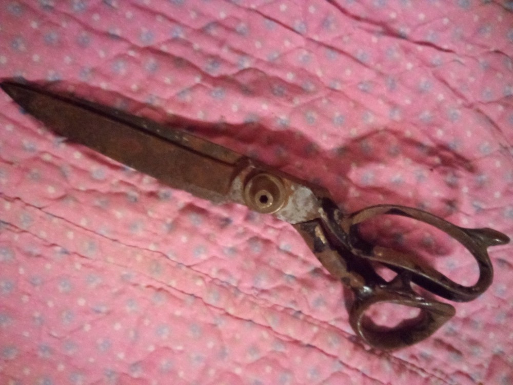 Clauss Scissors. Model: #4N.
