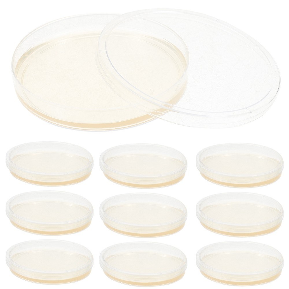 10 Pcs Prepoured Petri Dish Nutrient Agar Plate Extract
