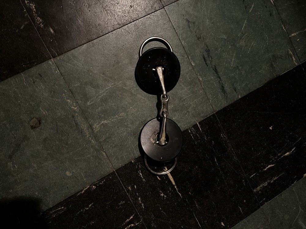 loose ring horse bit