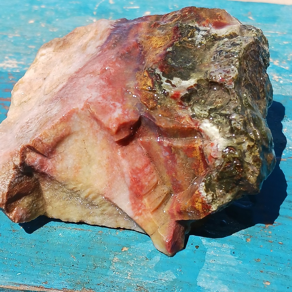 Murray Mountain Jasper Unique Rough Lapidary Potential